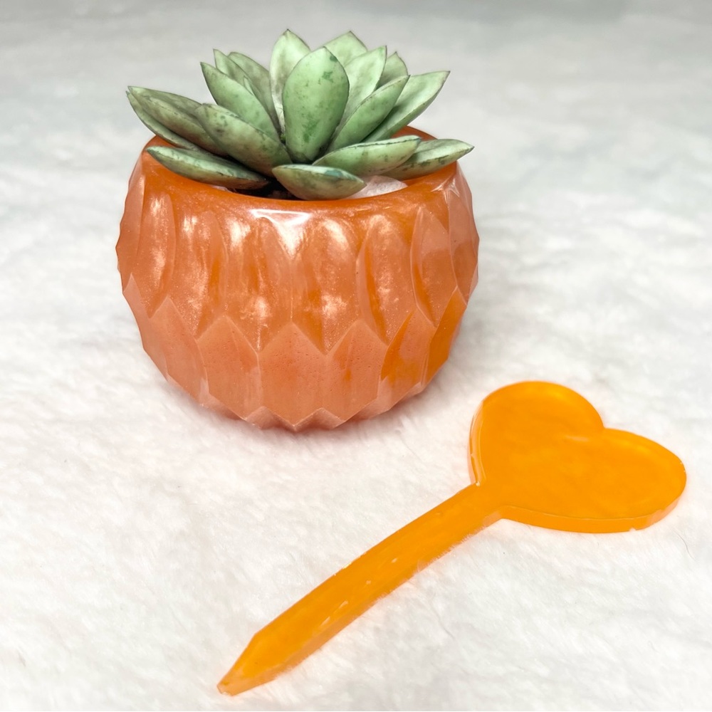 Pearl Orange Geometric Texture Resin Succulent Plant Holder & Heart Plant Marker